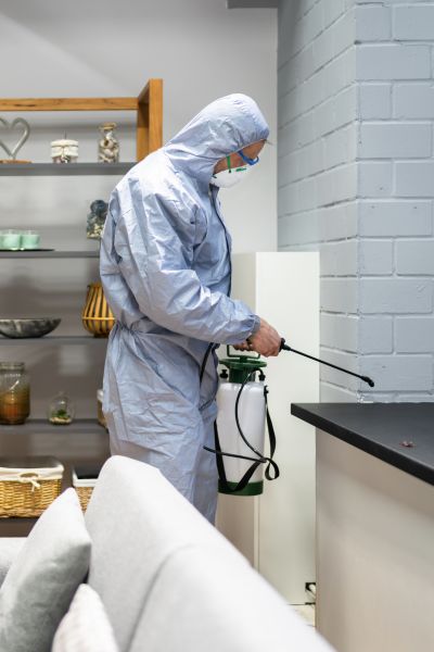 Certyfikat zwalczanie biedronek